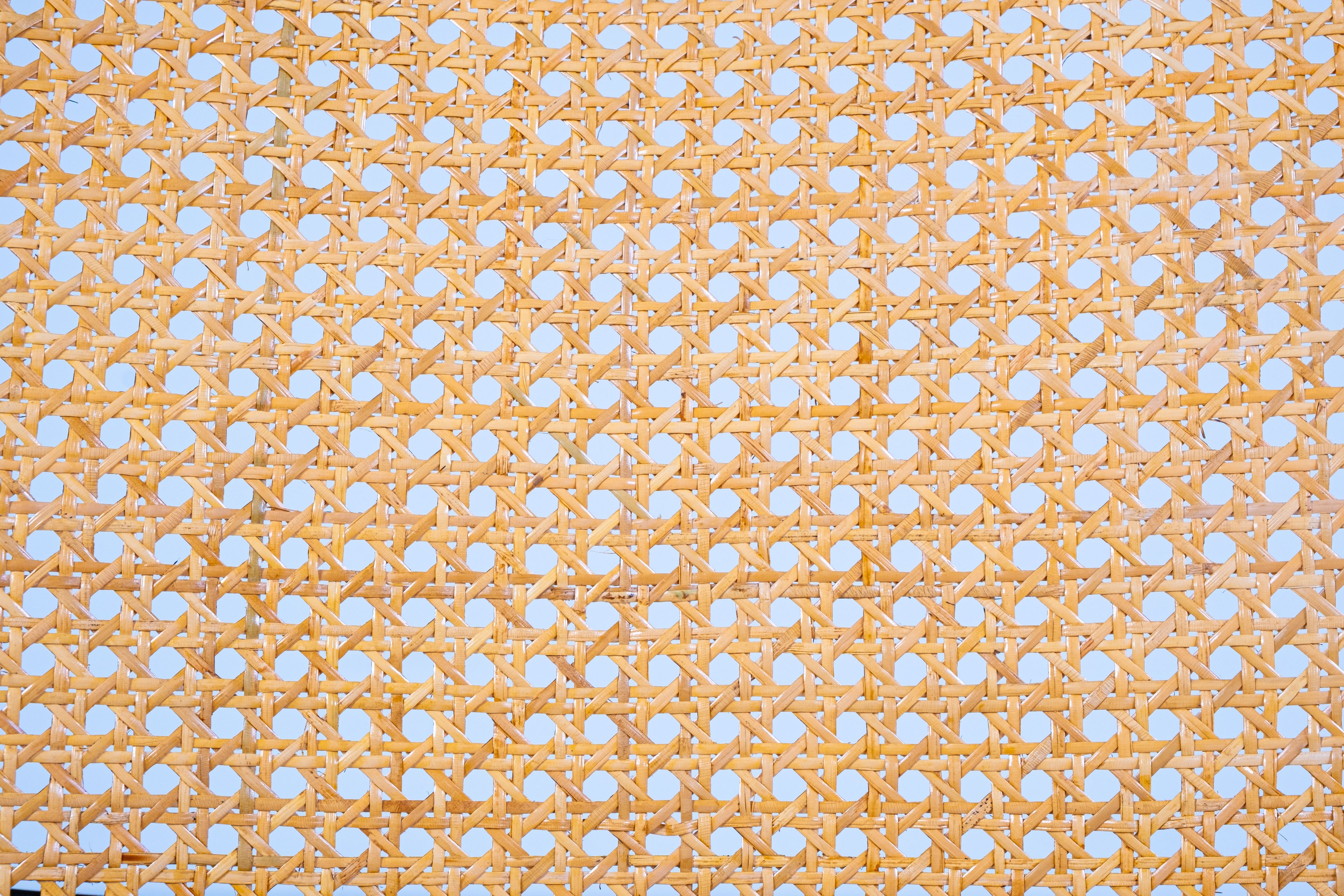 Gavina - Marcel Breuer - Sedia (4) - Cesca - Faggio